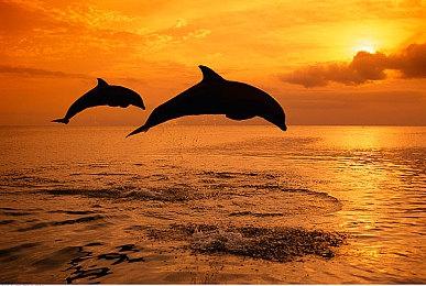 《肯塔基0号路》团队正式宣布开发新游戏作品